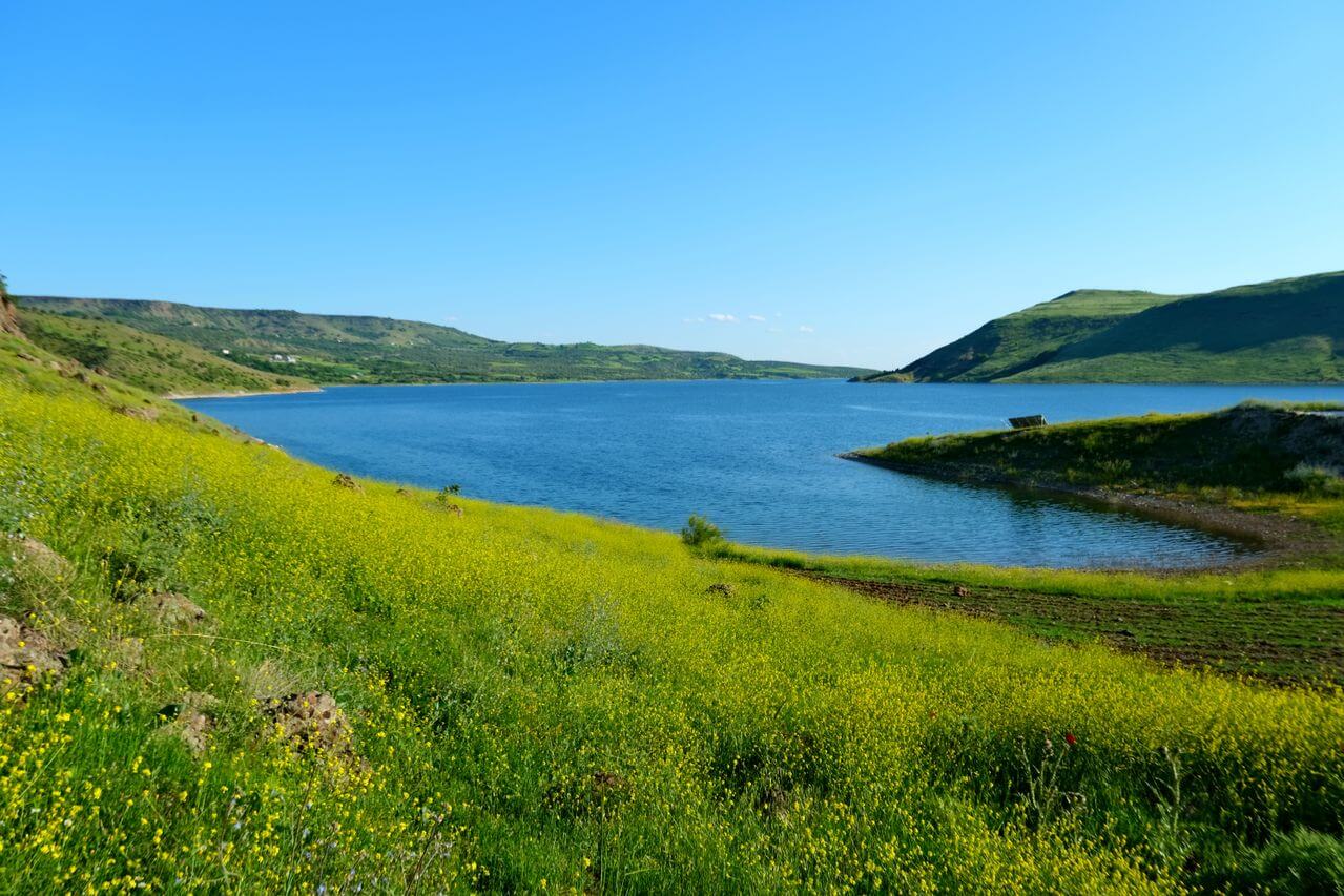 Green assurance landscape