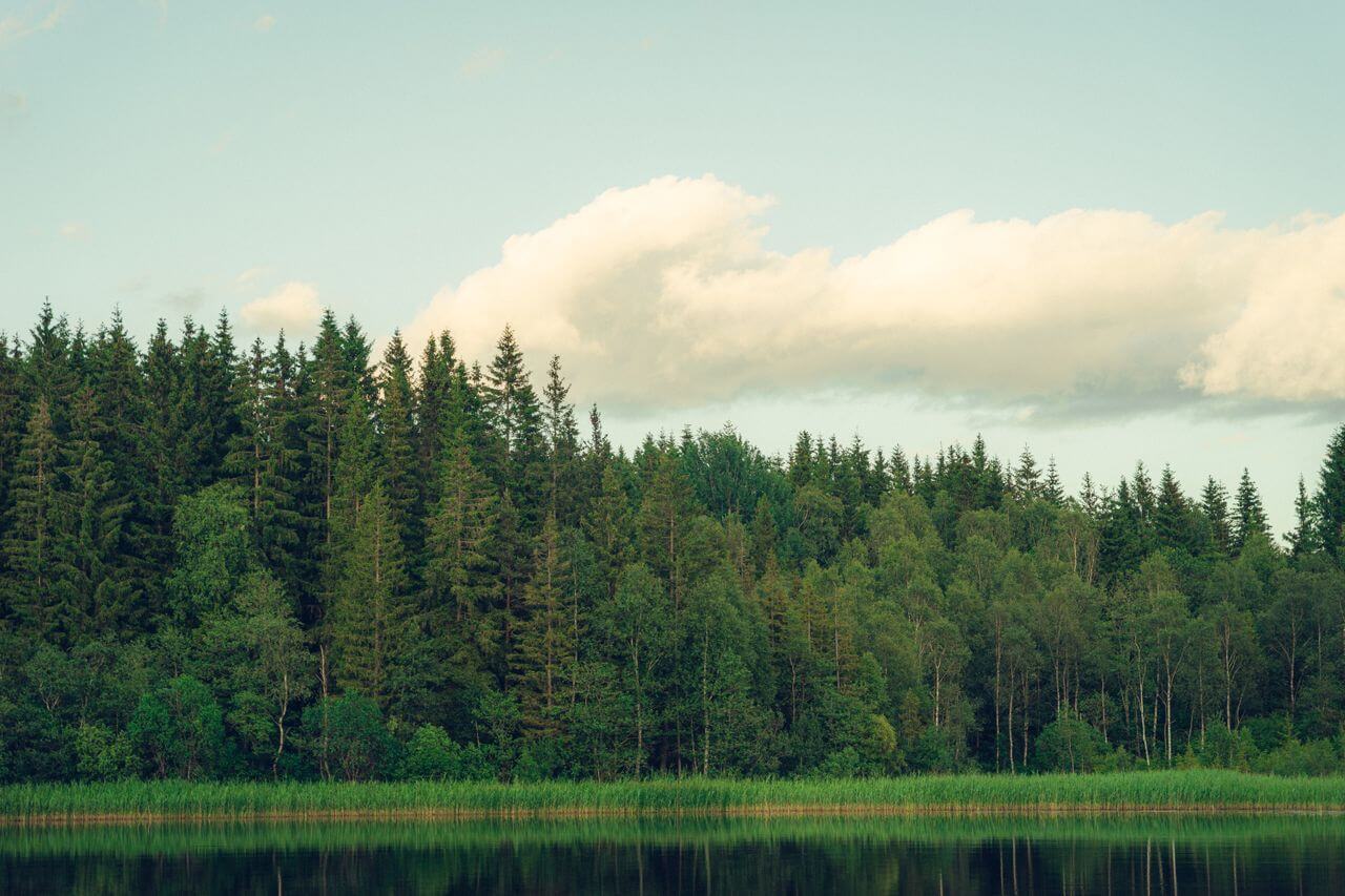 Green scoping landscape